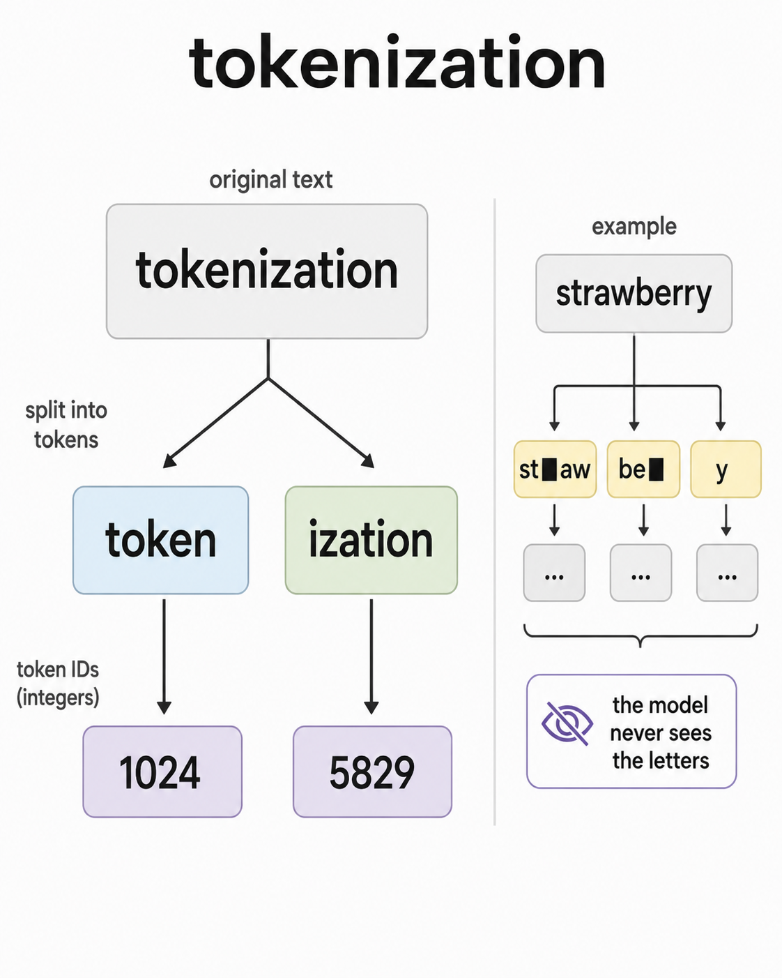 Image 2: Tokenization turns text into token IDs